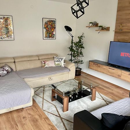 Luxury City Center Apartment スコピエ エクステリア 写真