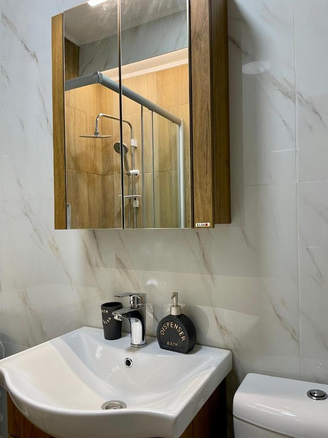 Luxury City Center Apartment スコピエ エクステリア 写真