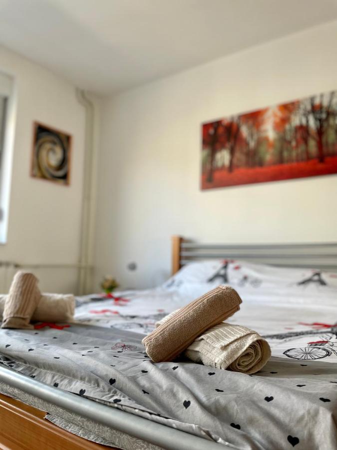 Luxury City Center Apartment スコピエ エクステリア 写真